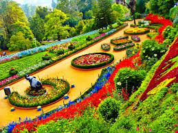 botanical garden ooty images