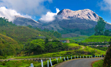 Munnar Group Tour