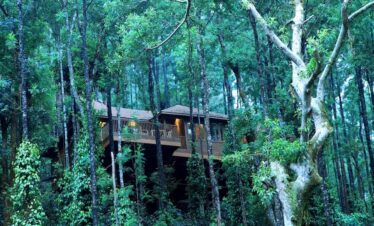Coorg Group Tour