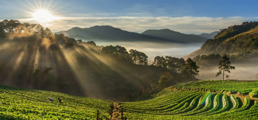 Bangalore to Coorg Best Route